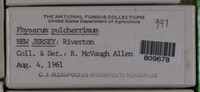 Image Associated With the Occurence